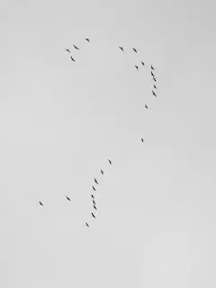 困擾