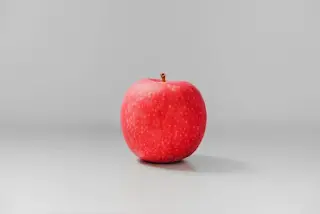 發表會