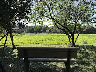 連假矛盾