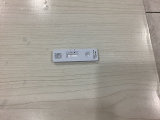 自由萬歲!
