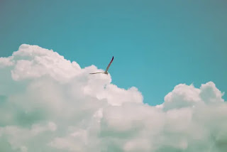 自由
