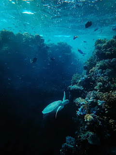 龍宮