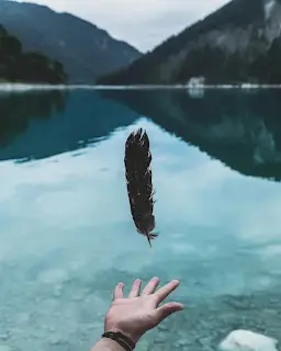 就讓它去吧