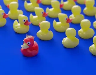 生活的不同樣貌