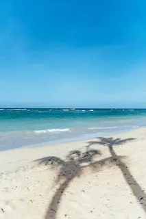 自由