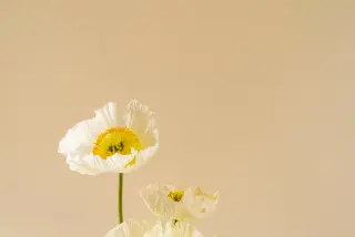 素顔